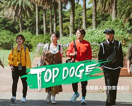 91制片厂Pro《TOP DOG》免费在线观看