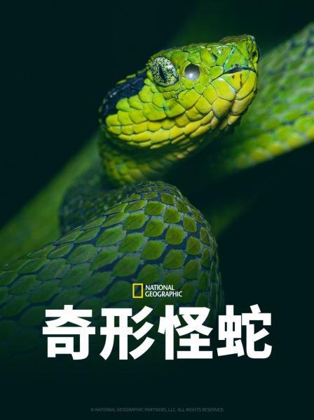 91原创《奇形怪蛇》免费在线观看